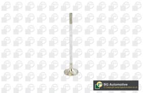 Выпускной клапан