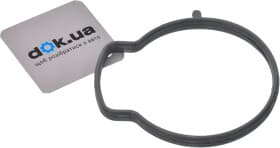 Впускной патрубок