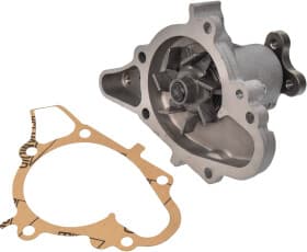 Помпа Помпа