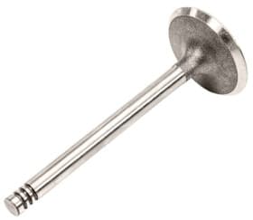 Впускной клапан