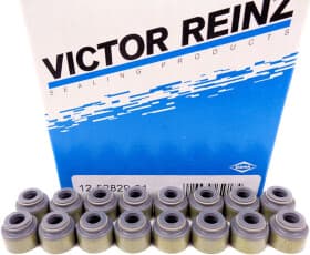 Комплект сальників клапанів Комплект сальників клапанів