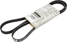 Поликлиновой ремень