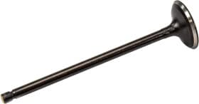 Впускной клапан