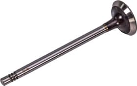 Впускной клапан