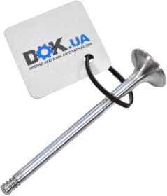 Выпускной клапан