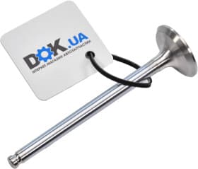 Выпускной клапан