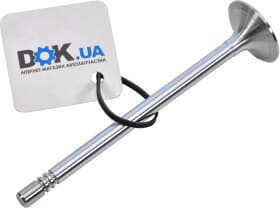 Впускной клапан