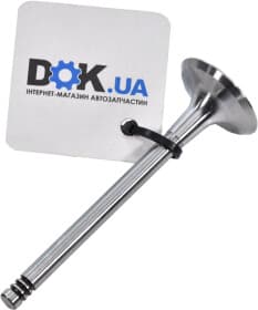 Впускной клапан