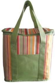 Термосумка Carface DOVP50ML1084ASTR 20 л