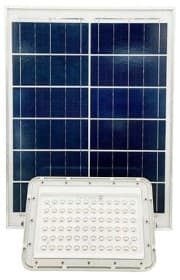 Прожектор Protester SLFL1001