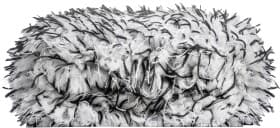 Губка K2 M441 230х130х60