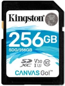 Карта памяти Kingston Canvas Go! SDXC 256 ГБ