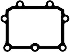 Прокладка впускного коллектора