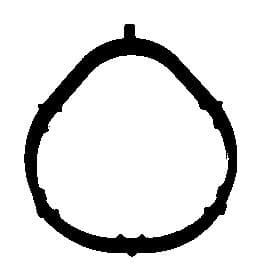 Прокладка впускного коллектора