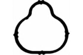 Прокладка впускного колектора