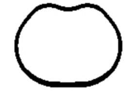 Прокладка впускного колектора