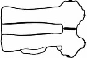 Прокладка клапанної кришки