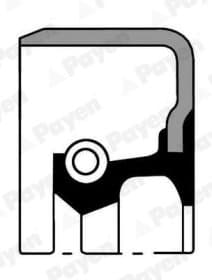 Сальник первичного вала