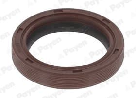 Сальник колінчастого вала