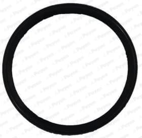 Прокладка впускного коллектора Payen jd6150