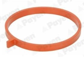 Прокладка впускного коллектора