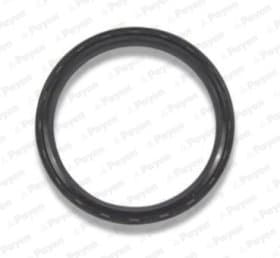 Сальник колінчастого вала