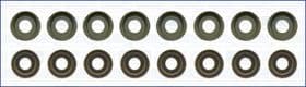 Комплект сальників клапанів Комплект сальників клапанів