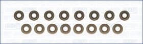 Комплект сальников клапанов Комплект сальников клапанов