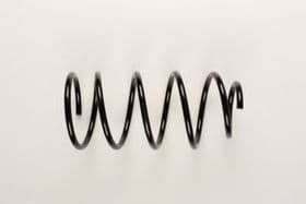 Пружина підвіски