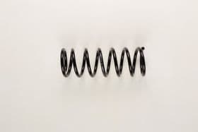 Пружина підвіски