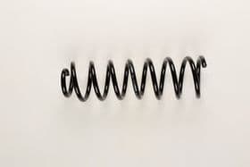 Пружина підвіски