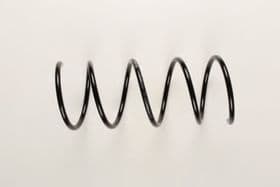 Пружина подвески