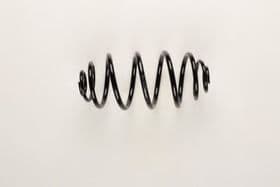 Пружина підвіски