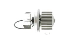 Помпа Помпа