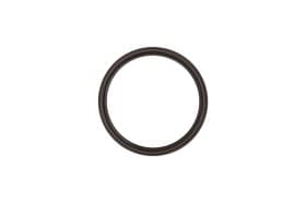 Сальник коленвала