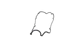 Прокладка клапанної кришки