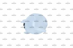 Бачок охолоджувальної рідини