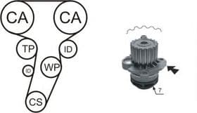 Комплект ременя ГРМ + помпа