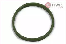 Прокладка впускного коллектора Elwis Royal 0256062