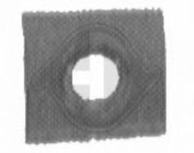 Крило заднє