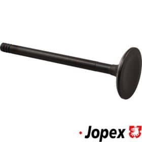 Впускний клапан JP Group 1111303700