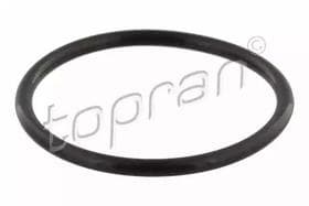 Прокладка термостата