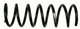 Пружина підвіски