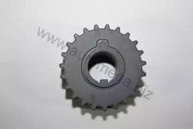 Шестерня коленчатого вала