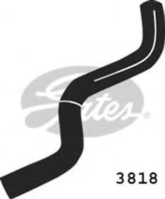 Патрубок радіатора системи охолодження двигуна