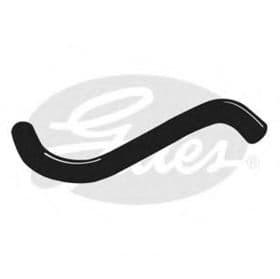 Патрубок радиатора системы охлаждения двигателя