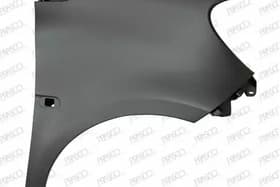 Крило переднє