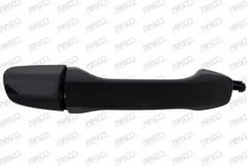 Ручка дверей