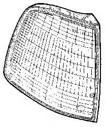 Ліхтар покажчика повороту
