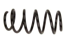 Пружина підвіски